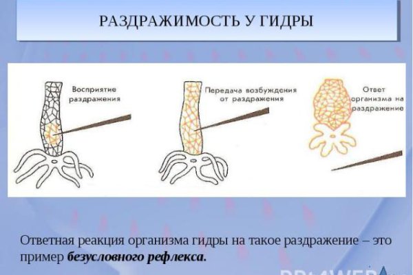 Кракен гидра