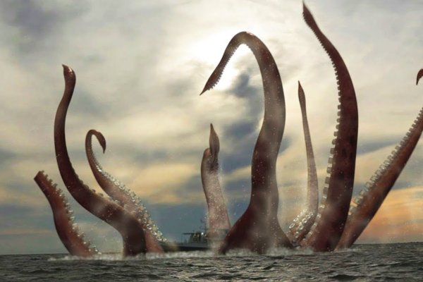 Kraken рабочее зеркало